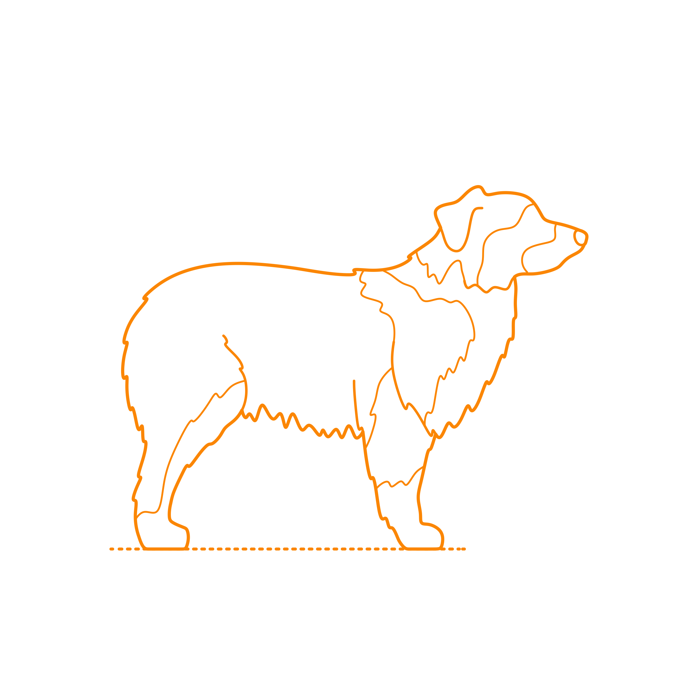 Animals Dogs Miniature American Shepherd Outline Svg Vector Free Vectors
